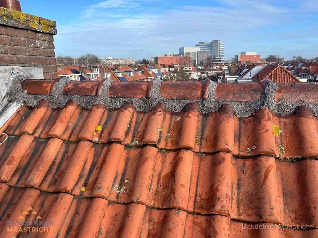 Nieuw bitumen plat dak met uitzicht over woonwijk in Maastricht