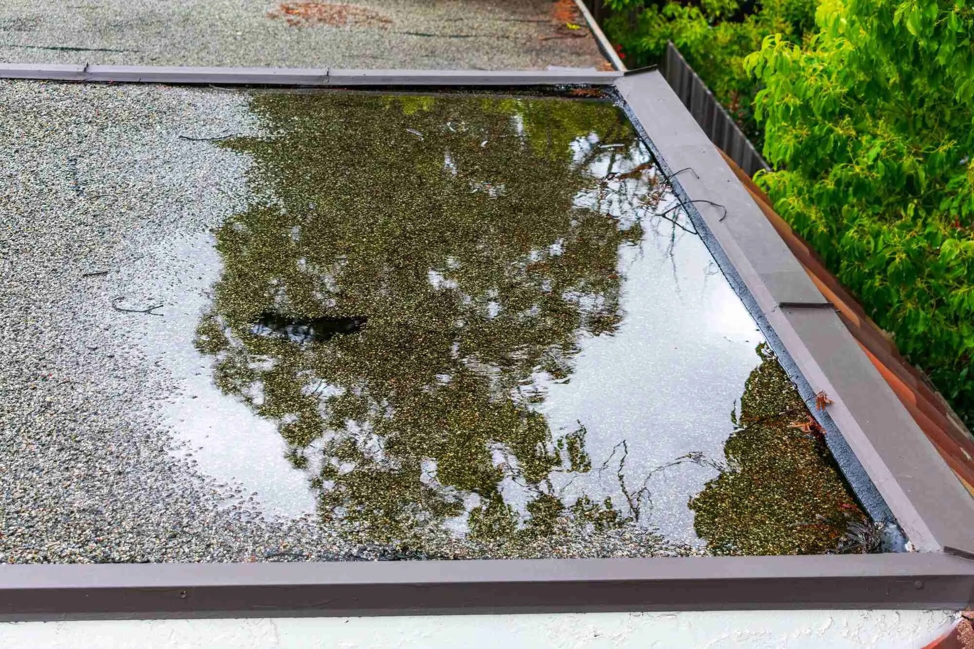 Daklekkage Na Regenval