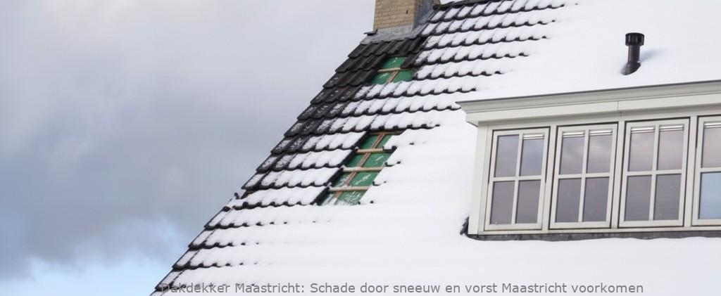 Schade Door Sneeuw En Vorst Maastricht